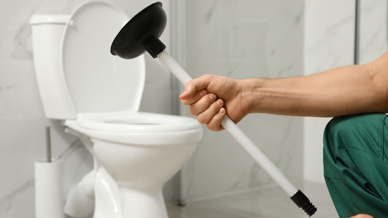 Hand holding plunger next to toilet
