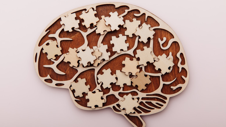 puzzle pieces on brain illustration