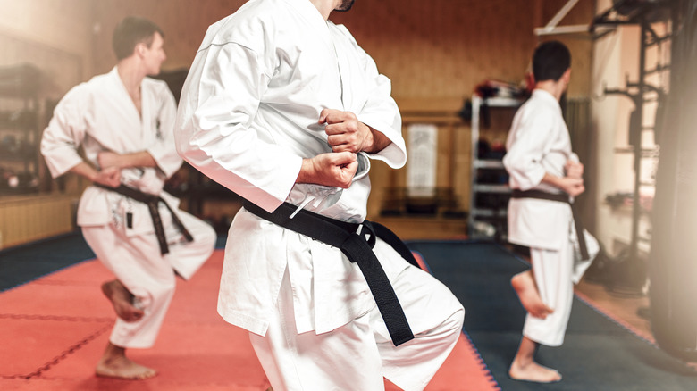 Martial artists practicing in studio 