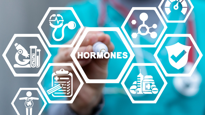 hormones graphic