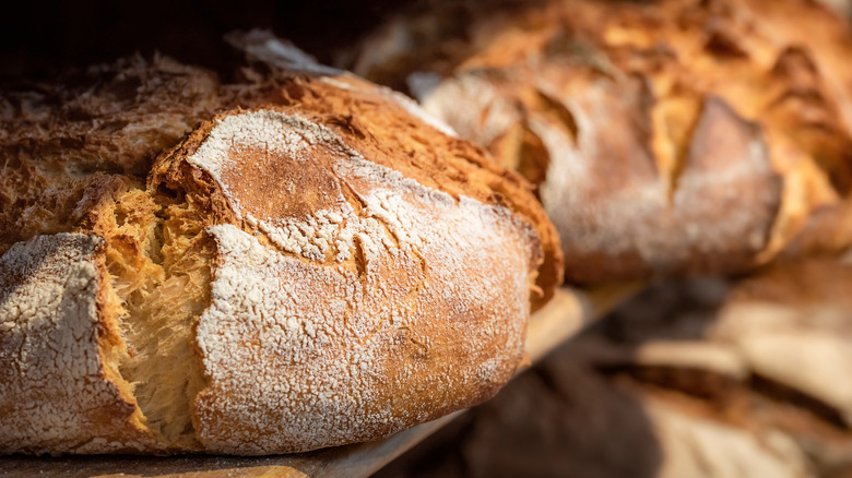 Two loaves of sourdough bread