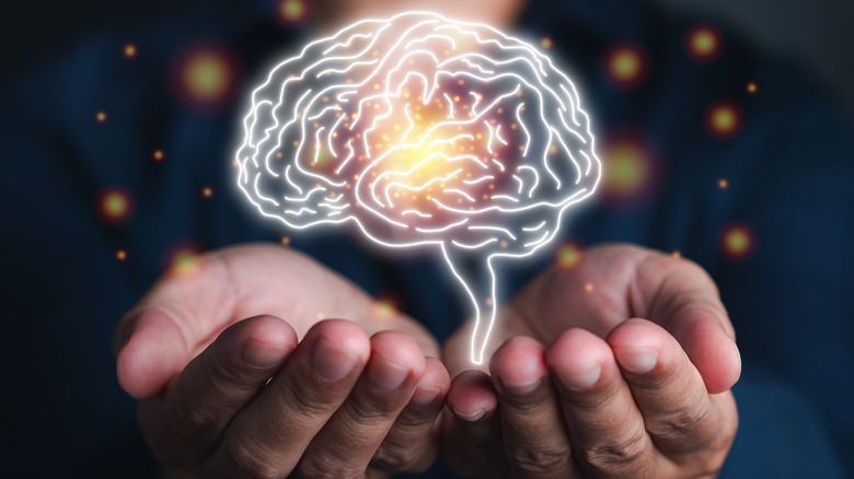 brain concept above hands