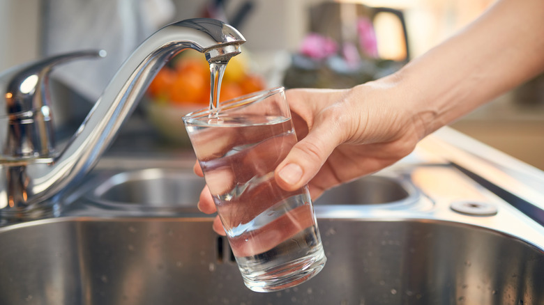 Hand holding glass of water under sink faucet