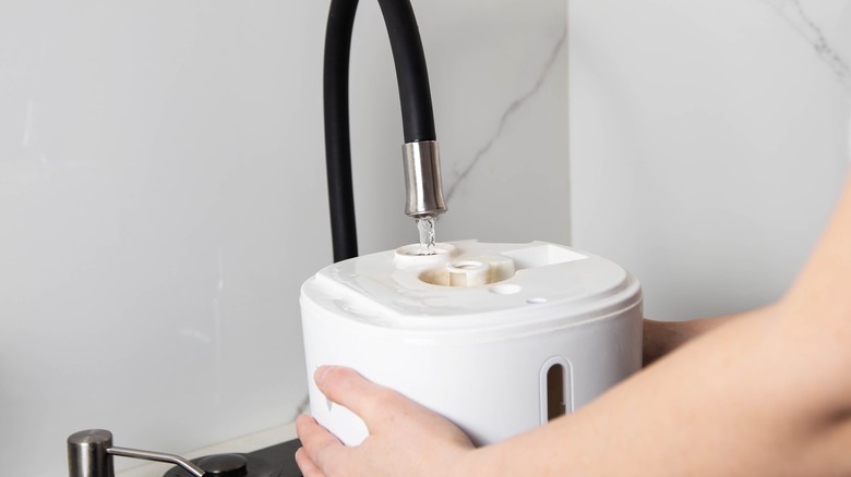 Person filling humidifier with sink water