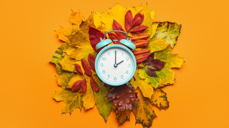 Alarm clock against autumn leaves