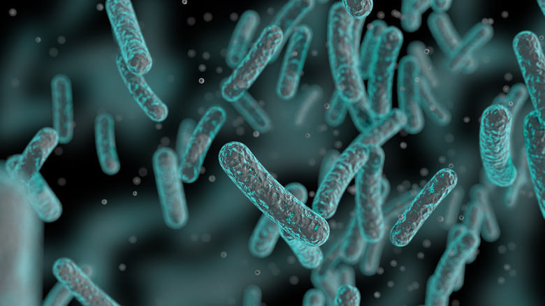 blue bacteria floating