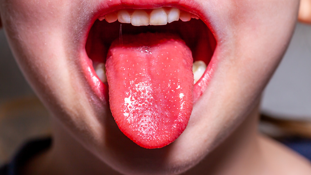 Tastebuds 