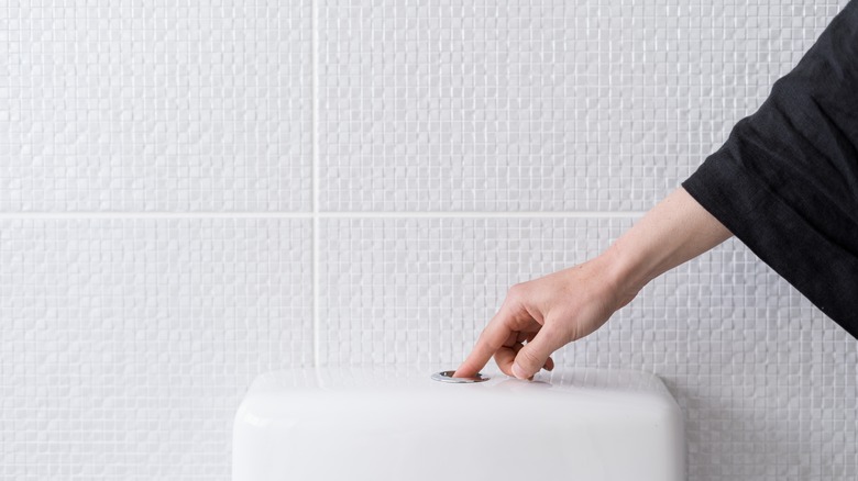 Woman flushing a toilet