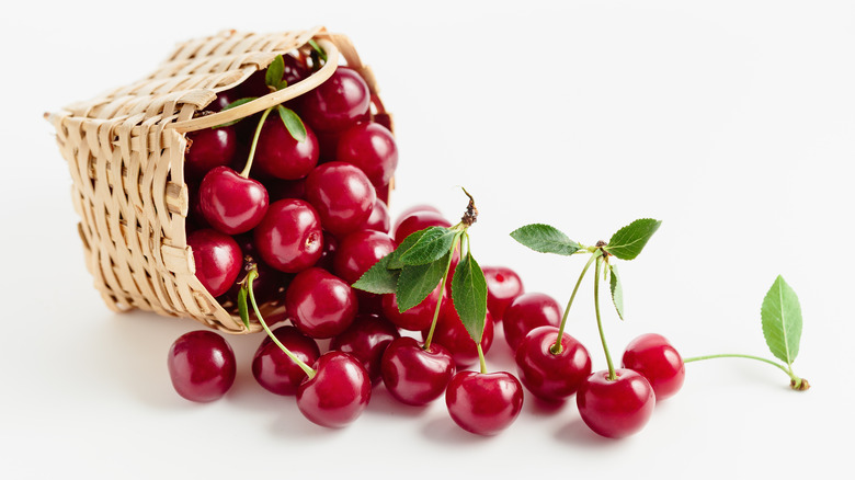 basket of tart cherries