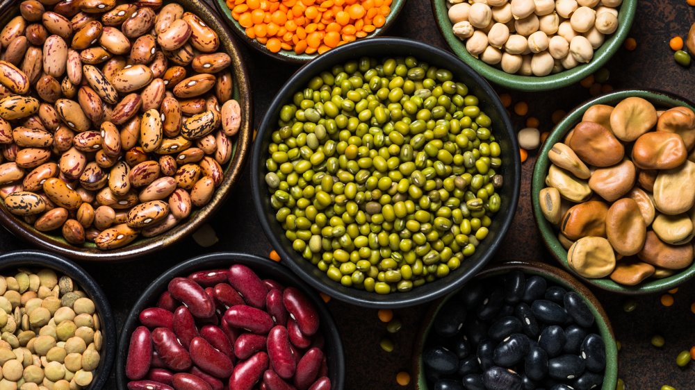 legumes are high in prebiotics