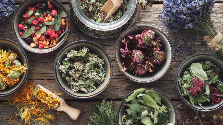 jars of dry herbs