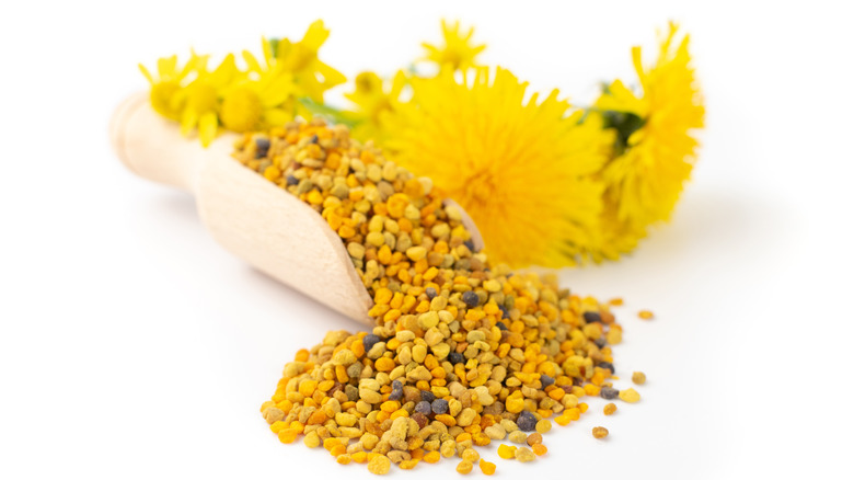 bee pollen with yellow dandelions