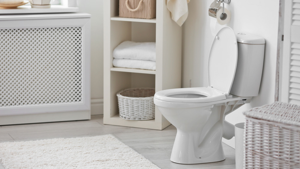 White toilet with lid up