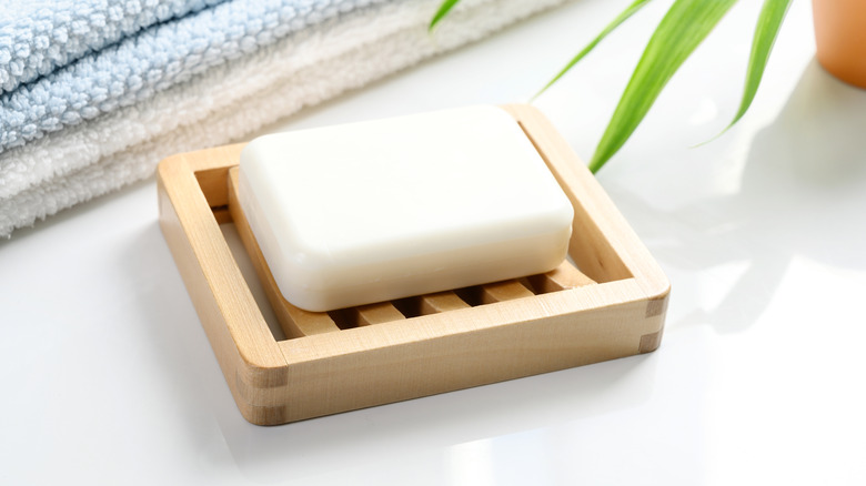 Bar of soap in a soap dish