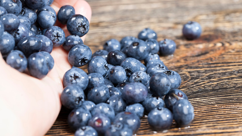 hand holding blueberries