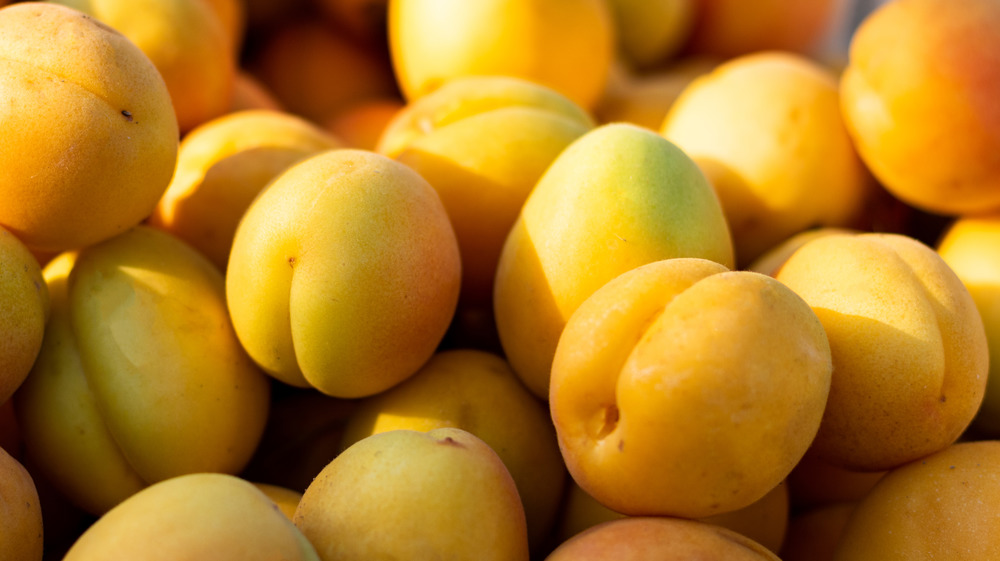 Pile of apricots close up