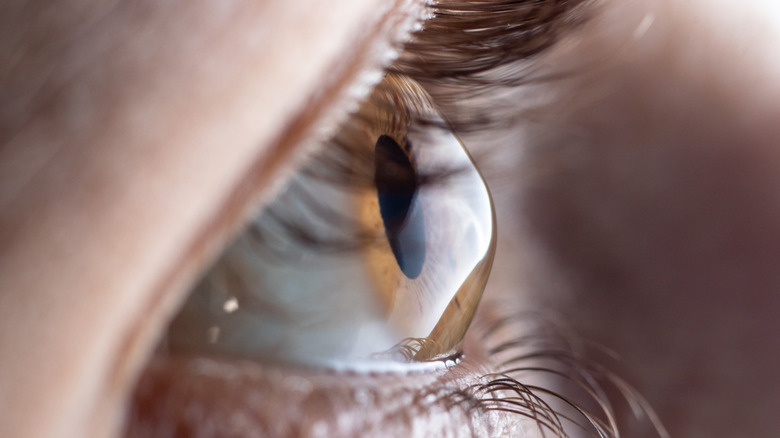 A close up of a person's eye