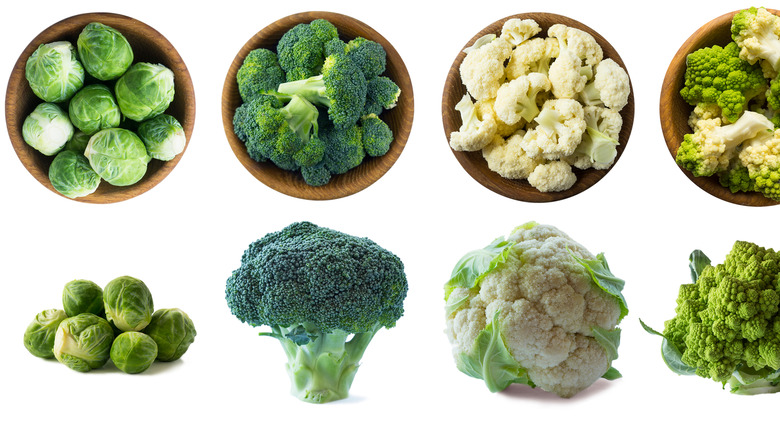 pile of broccoli