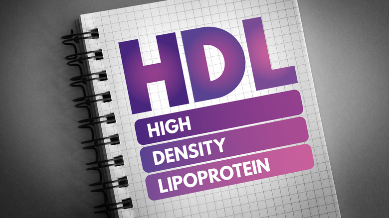 A spiral notebook that reads "HDL HIGH DENSITY LIPOPROTEIN"