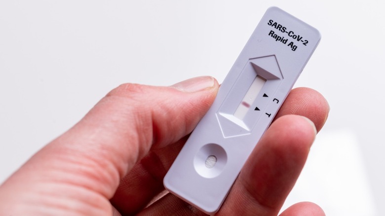 rapid antigen test