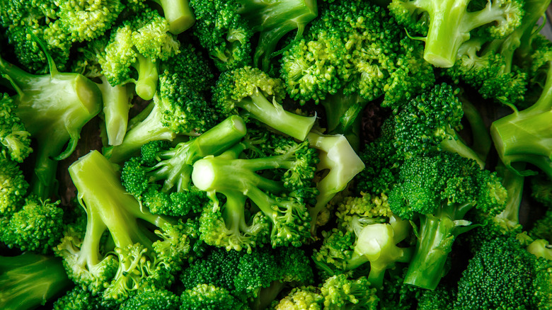 A large pile of steamed broccoli