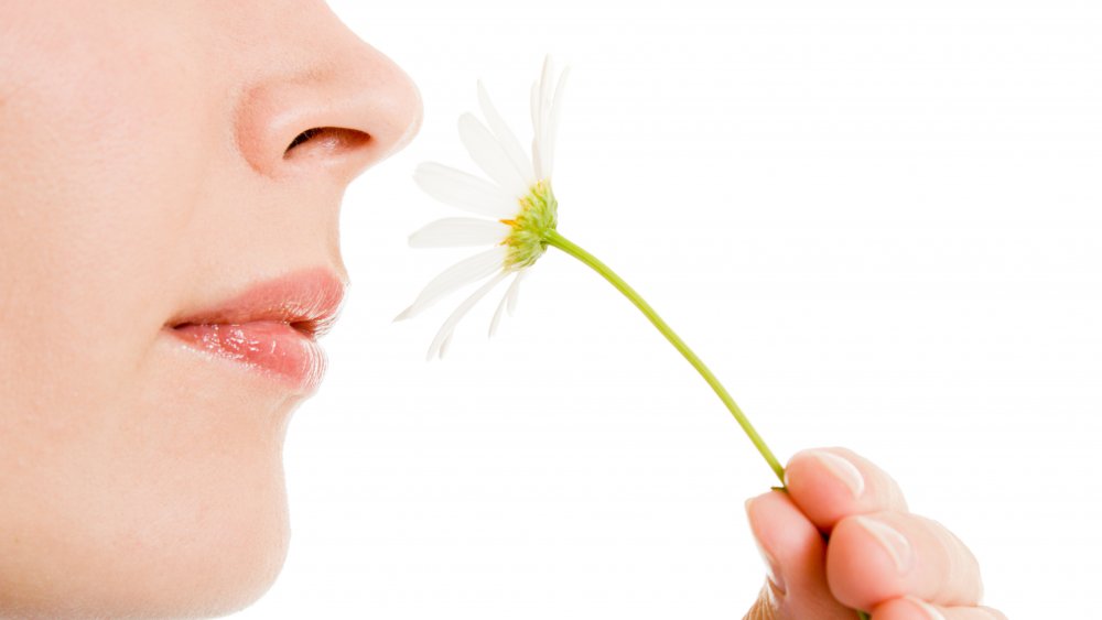 sense of smell