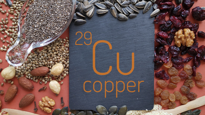 foods rich in copper 